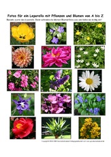 Leporello-Pflanzen-A-Z-Fotos-1.pdf